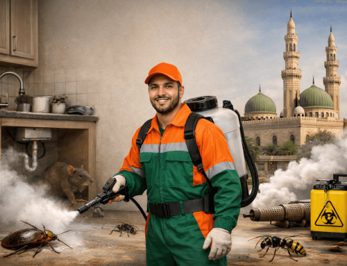 مكافحة الحشرات في محافظة الغربية  01018620602 بخصم 60%