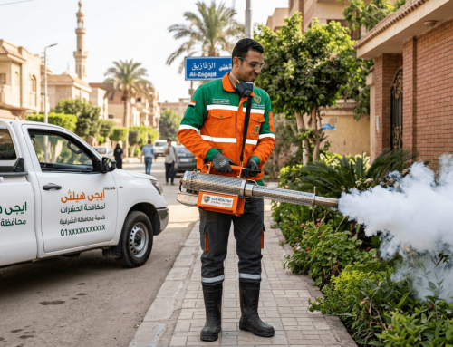 شركة مكافحة حشرات في الشرقية 01018620602 خصم 60%