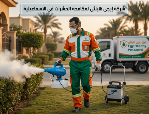 شركة مكافحة حشرات في الإسماعيلية 01018620602 خصم 60%