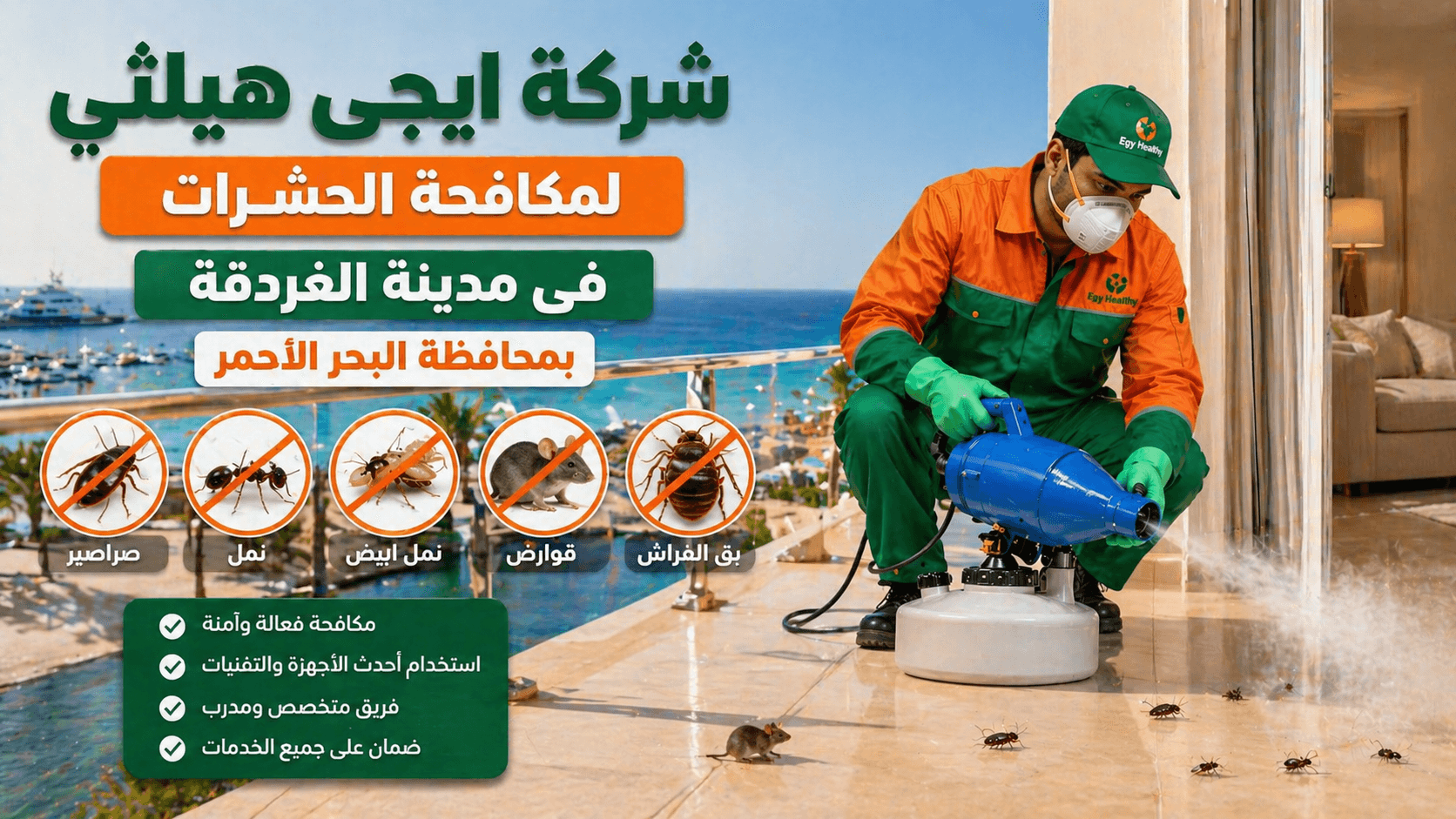 مكافحة الحشرات في مدينة الغردقة