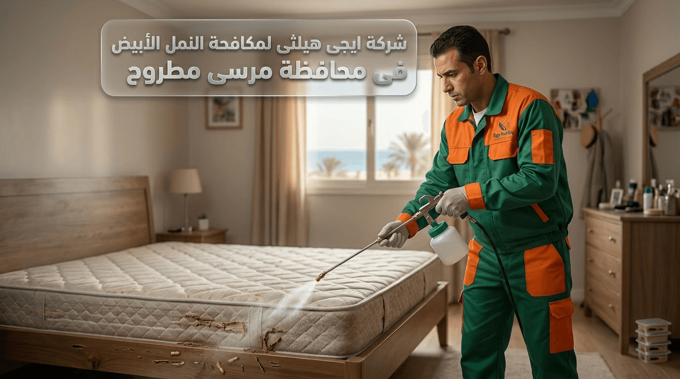 مكافحة النمل الأبيض في مرسي مطروح