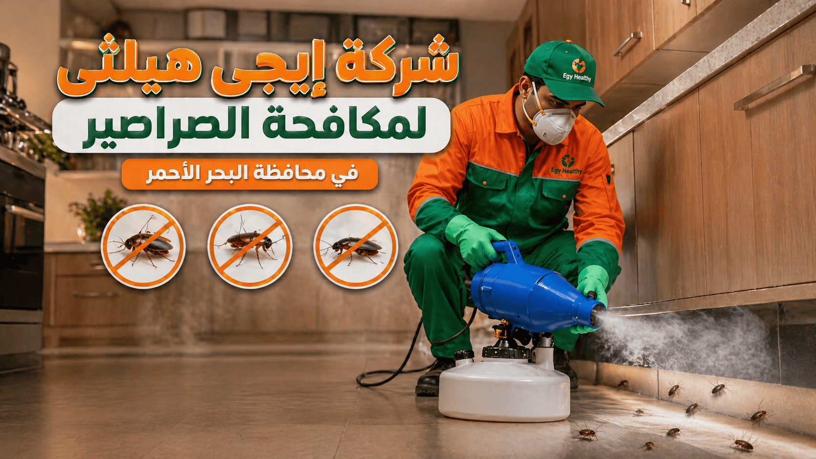 مكافحة الصراصير في البحر الأحمر