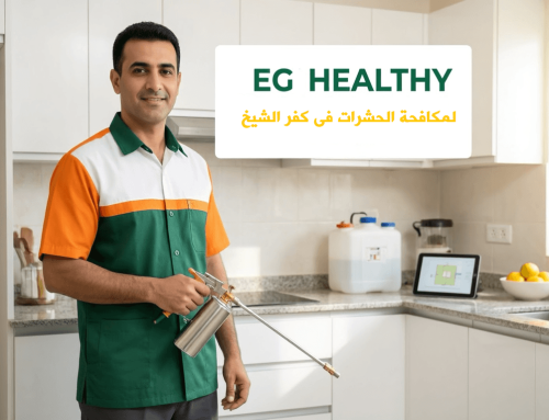 شركة مكافحة حشرات في كفر الشيخ خصم 60% اتصل الآن 01018620602