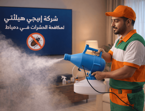 شركة مكافحة حشرات في دمياط | 01018620602 | خصم 60%