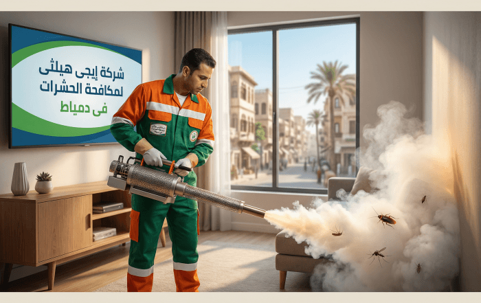 مكافحة حشرات في دمياط