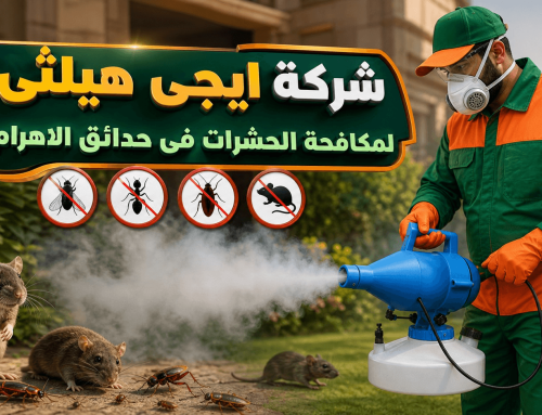 شركة مكافحة حشرات في حدائق الاهرام 01018620602 خصم 60%