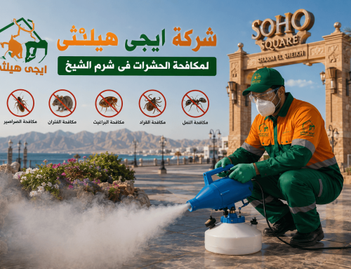 شركة مكافحة حشرات في شرم الشيخ 01018620602 خصم 50%