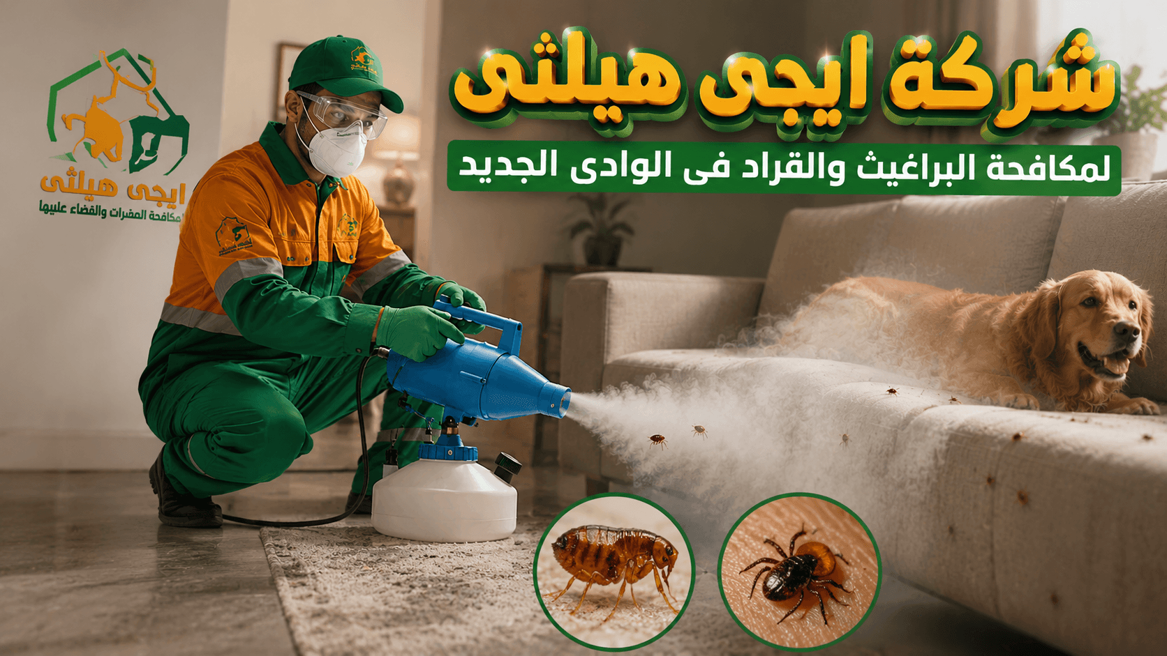 مكافحة البراغيث والقراد في الوادي الجديد