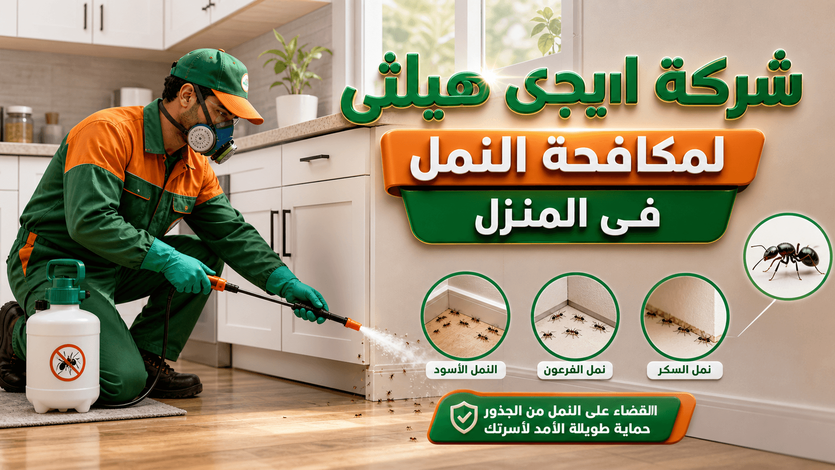 مكافحة النمل في حدائق اكتوبر