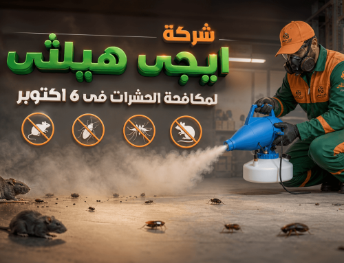 شركة مكافحة حشرات في 6 أكتوبر 01060662760 خصم 50%