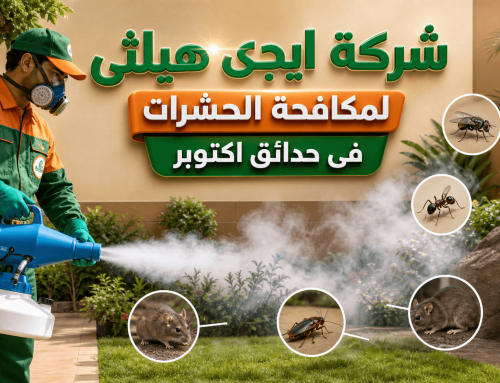 شركة مكافحة حشرات في حدائق اكتوبر 01060662760 خصم 60%